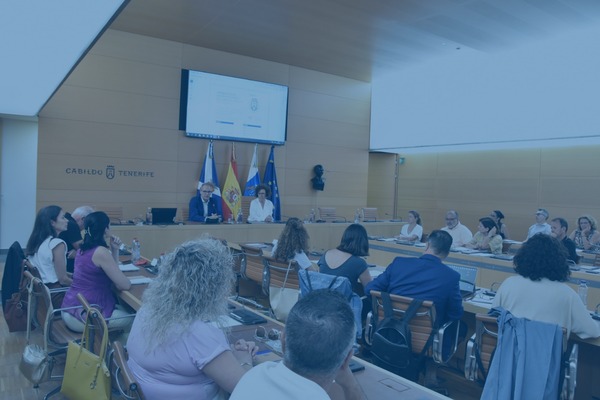 Costas concluye su ronda de reuniones insulares abordando los retos del litoral en Tenerife