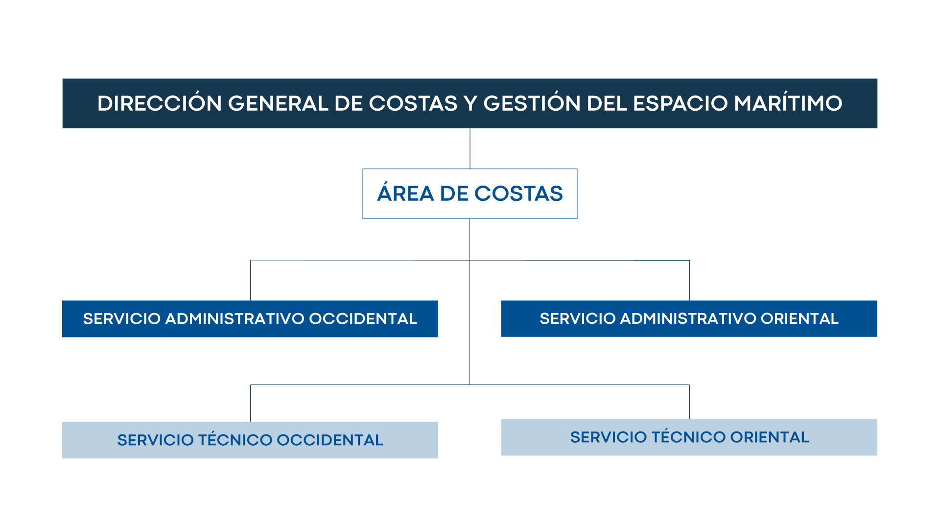 ESQUEMAORGANIGRAM 1